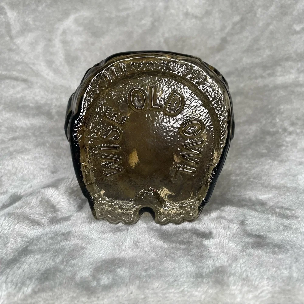 Vintage Wise Old Owl Smoked Glass Coin Bank MCM Home Decor Collectible